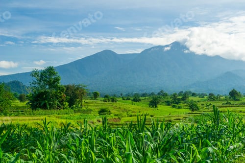 Preview: beautiful morning view from Indonesia of mountains and tropical forest