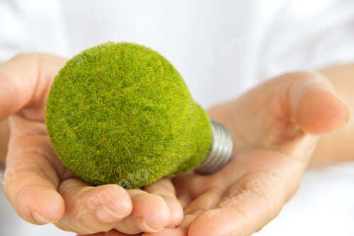Preview: Hand holding eco light bulb energy concept