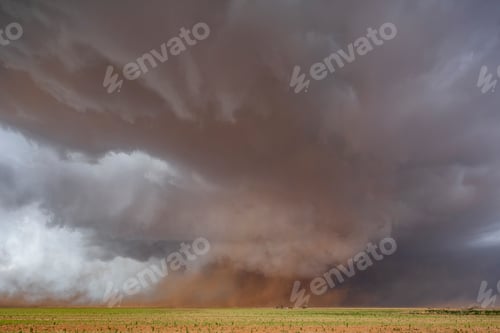 Preview: A Monster Wedge Tornado near Morton, clouds gathering in the sky above fields in a flat landscape.