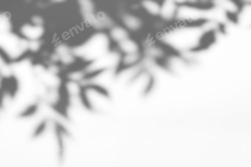 Preview: Abstract leaves natural shadow overlay on white texture background