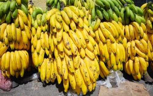 Preview: Bunches of ripe bananas at a local market, Ecuador.