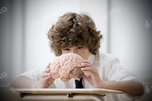 Preview: A curious student examines a brain model in a classroom setting.