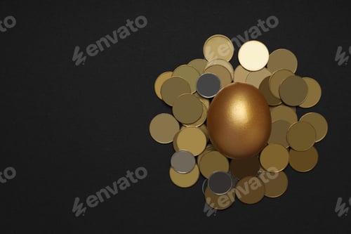 Preview: Golden egg with coins on a dark background