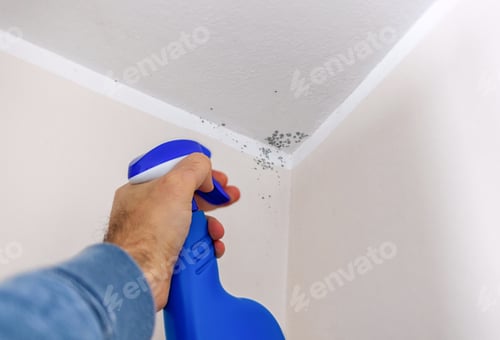 Preview: Anti-mould spray in the corner with the ceiling for mold removal.
