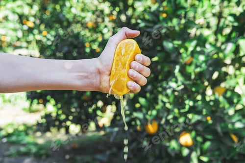 Preview: A human hand crushes half of a juicy orange.