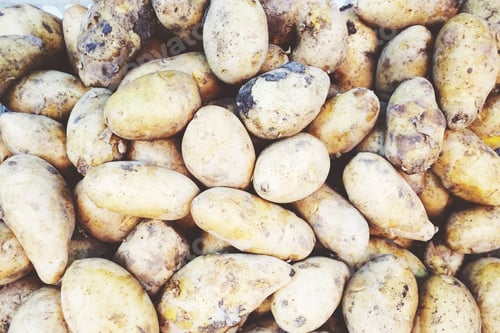 Preview: Potato pattern background