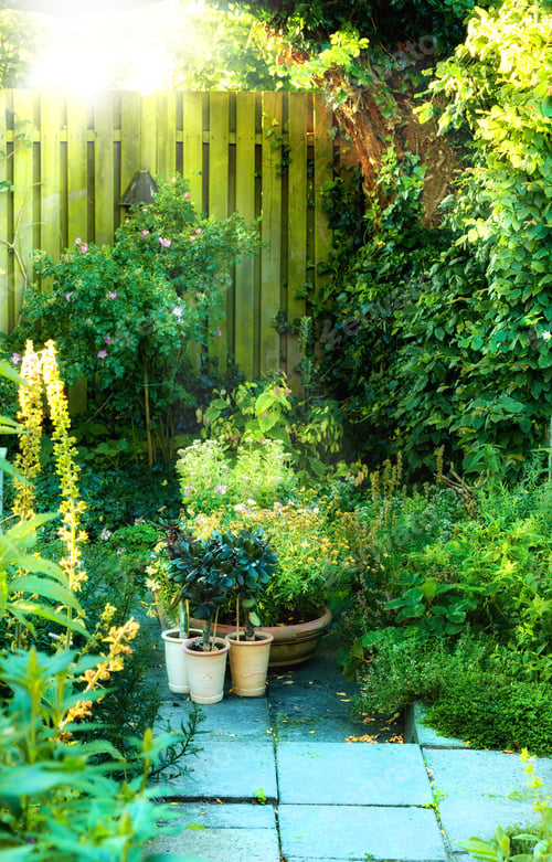 Preview: My garden