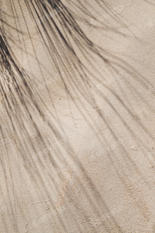 Preview: Abstract sandy background with shadows of grass on the beach