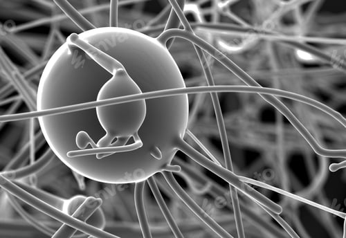 Preview: Monochrome microverse a grayscale scientific exploration.