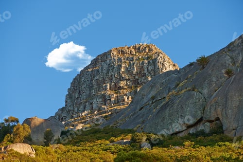 Preview: Lions Head