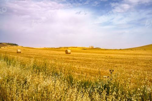 Preview: Country landscape near Matera and Gravina di Puglia