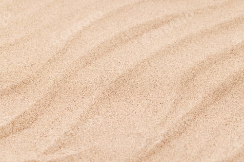 Preview: A tropical summer background featuring soft beach sand with delicate palm leaf shadows