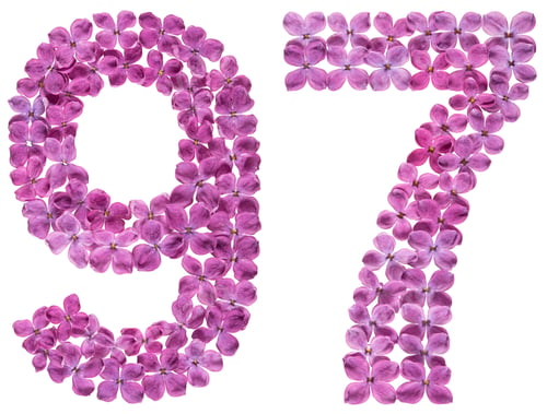 Preview: Arabic numeral 97, ninety seven, from flowers of lilac, isolated on white background