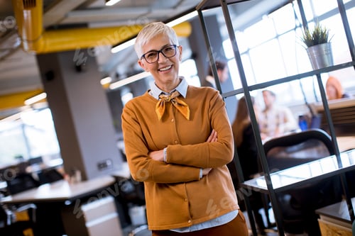 Preview: Senior businesswoman standing in office