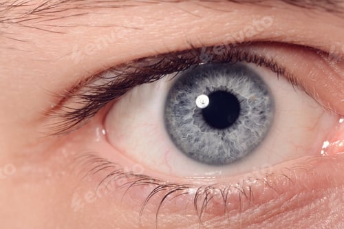 Preview: Close Up Of A Man Eyes