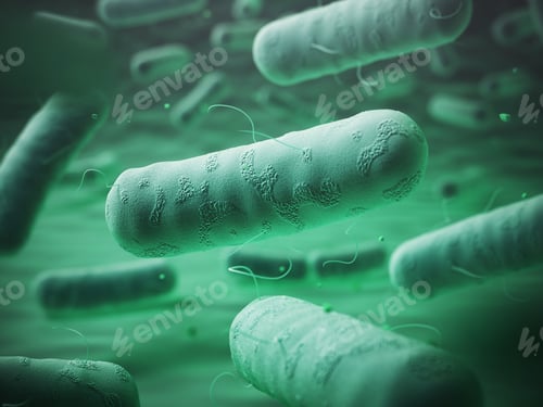 Vista previa: Enterobacteriaceas. Gram-negative bacterias escherichia coli, sa