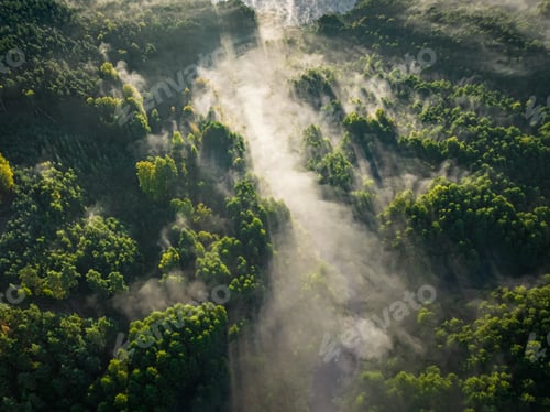 Preview: Aerial view of Misty valley at sunrise in autumn.