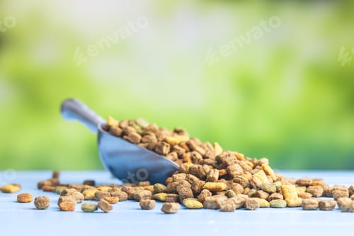 Preview: Dry kibble pet food in scoop. Dog or cat food on garden table.