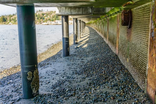 Preview: A View From Under The Boardwalk At Redondo Beach, Washington.