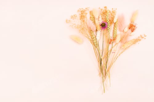 Preview: Neutral Bouquet of Dried Flowers on Pink Background