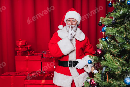 Preview: Santa Claus portrait, Christmas and newyear festive days concepts