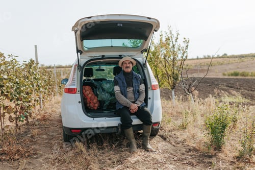 Preview: Rustic Respite Senior Farmer Amidst Potato Bounty Near Car