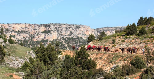 Preview: nomadic people with animals