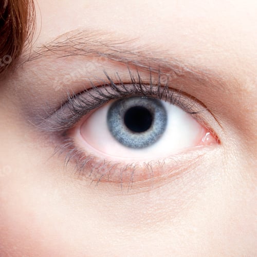 Preview: Close-Up Portrait Of Beautiful Young Woman Eye Zone Make-Up