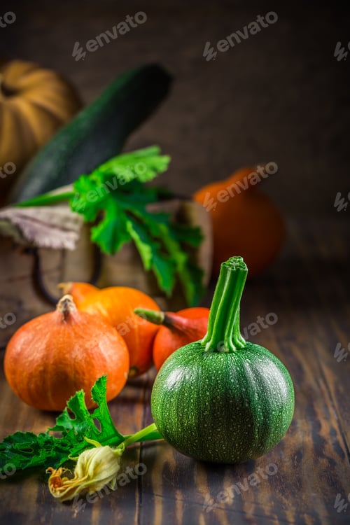 Preview: Harvesting - Assortment of organic pumpkins, courgettes and zucchinis on green background