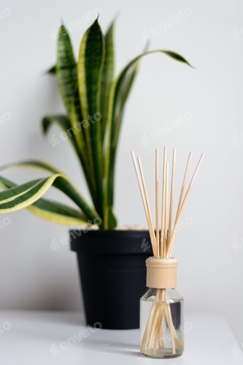 Preview: aroma diffuser wood stick for home near flowerpot