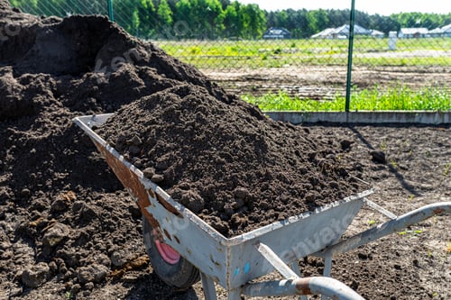 Preview: A heap of pure black earth lying in the yard next to the fence, visible shovel and full wheelbarrow.
