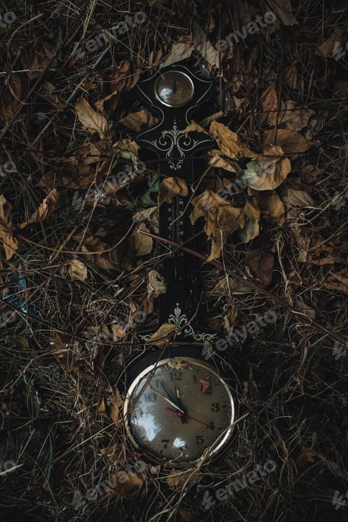 Preview: Top view of a vintage compass and clock among dry branches and leaves