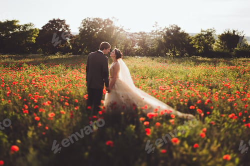 Preview: Newlyweds walking in amazing blossoming flowers field. Scope and panoramic views around
