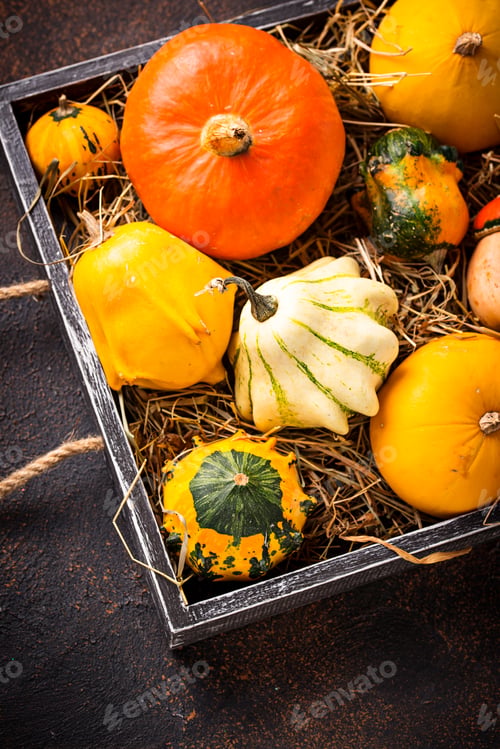Preview: Assortment of decorative colorful pumpkins