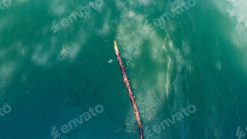 Preview: Wood in Water
