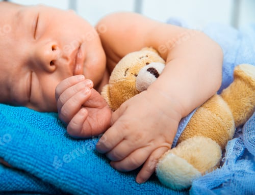 Preview: newborn baby sleeps