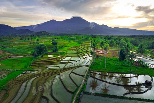 Preview: beautiful morning view from Indonesia of mountains and tropical forest