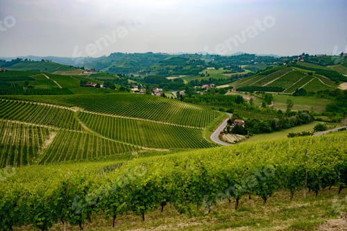 Preview: Landscape in Langhe (Piedmont)