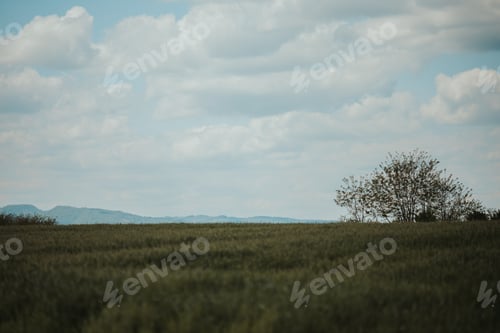 Preview: Scenic view of a landscape on a cloudy sky background