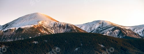 Preview: Landscape of Hoverla mountain, the highest peak in ukrainian Carpathian mountains in winter