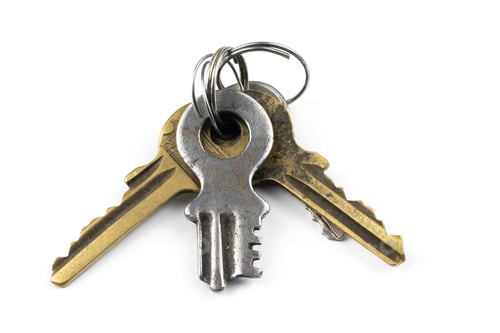 Preview: macro photo of keys on white background