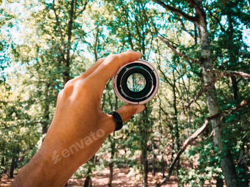 Preview: Person holding a camera lens in the middle of the forest with beautiful green trees in background