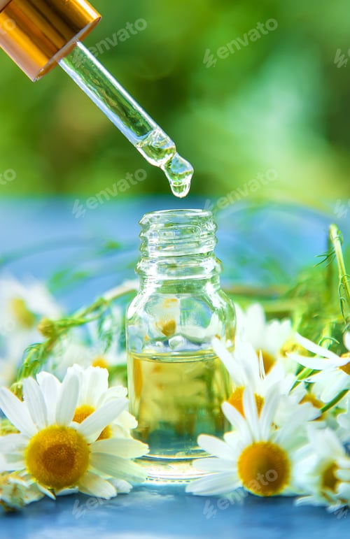 Preview: Essential oil extract of medicinal chamomile. Selective focus.