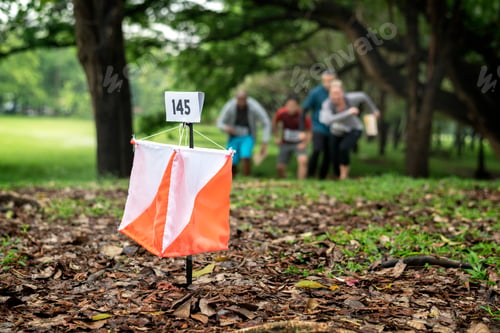 Preview: Orienteering box outdoor in a forest