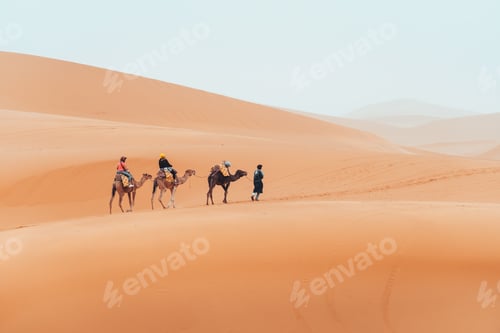 Preview: Camel trek with tourists through the sahara desert in Merzouga, Morocco