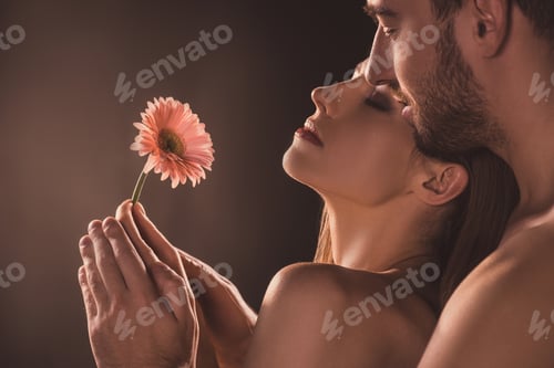 Preview: naked sensual lovers holding flower, on brown