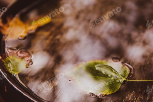 Preview: Single leaf on water close up. Autumn. Wooden background