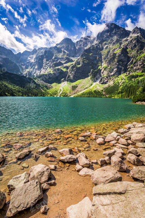Preview: Pond in the mountains at summer in Poland