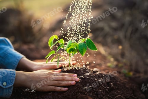 Preview: person is watering plant in garden
