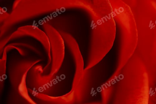 Preview: Natural floral background.